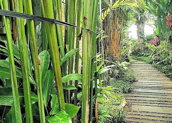 Premadhan Canggu 3*